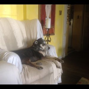 Meet your Posher, Ann